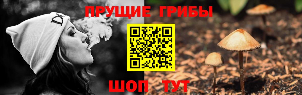 где продают наркотики  Вход с VPN  Кимовск  Псилоцибиновые грибы Psilocybine cubensis 